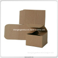 Custom Made Corrugated Carton Box for Shipping (PB012)